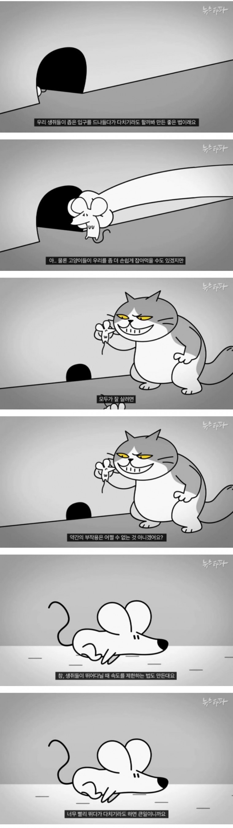 생쥐 나라의 고양이 국회의원.jpg | 인스티즈