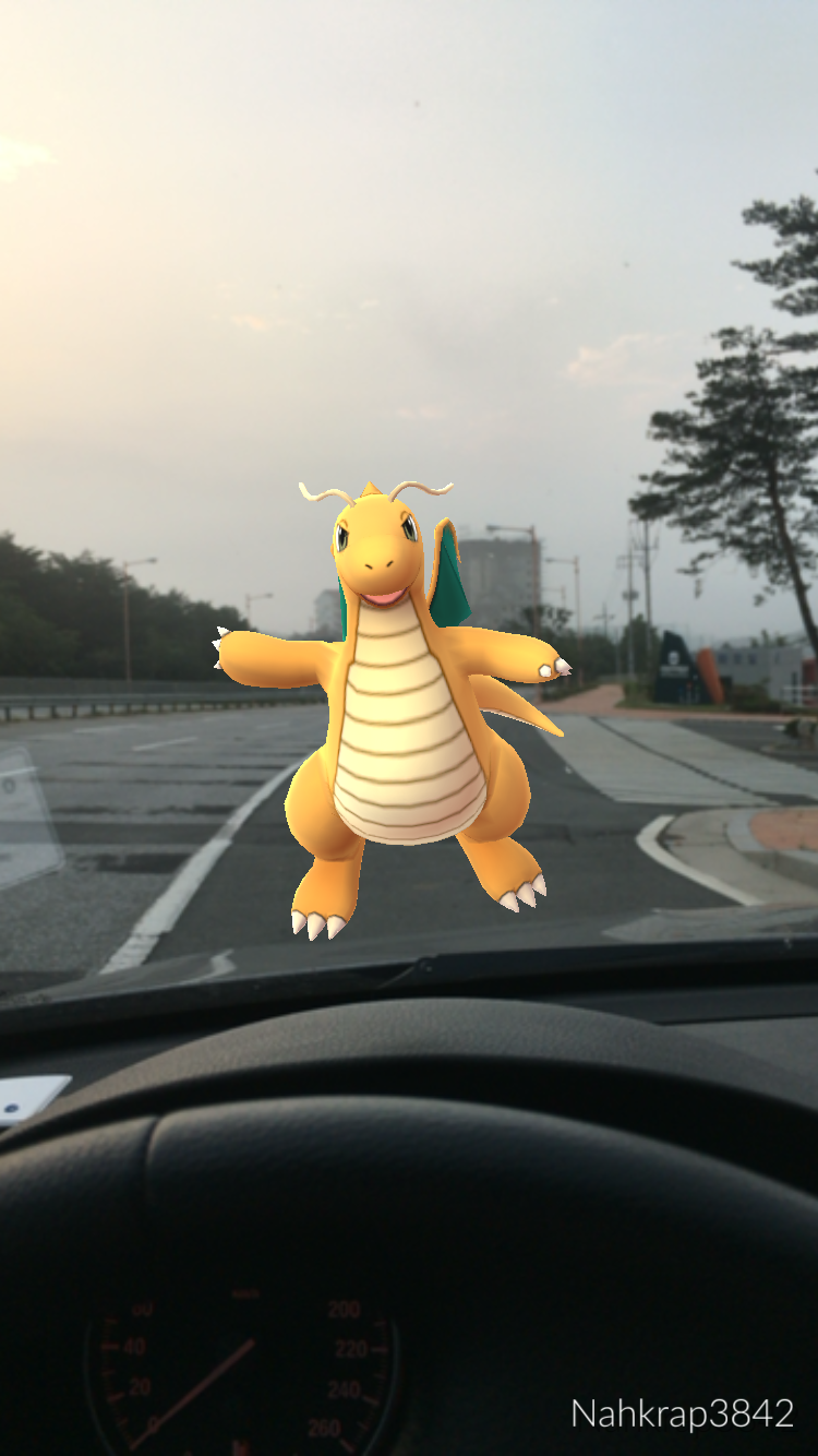 속초에 등장한 망나뇽 (feat. 고켓몬) | 인스티즈