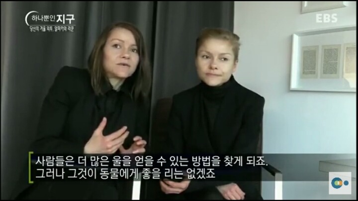당신이 입고있는 따뜻한 겨울외투의 진실 (동물피 주의) | 인스티즈