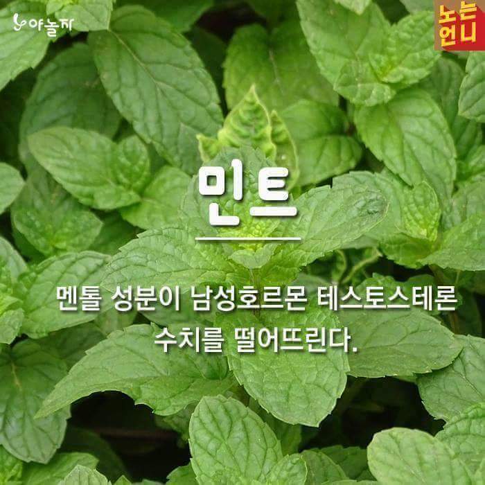 남자들이 먹으면 안 좋은 음식 | 인스티즈