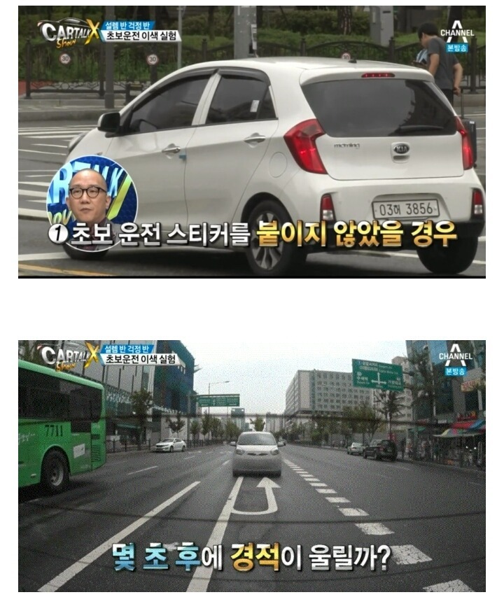 초보운전자 머스트 헤브 아이템.jpg | 인스티즈