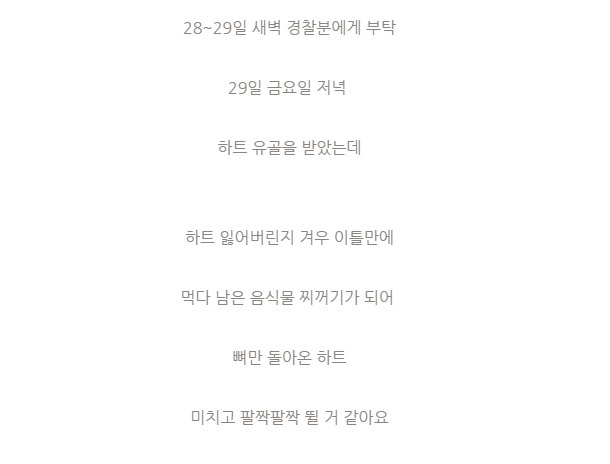 잃어버린 강아지를 누가 잡아먹음 | 인스티즈