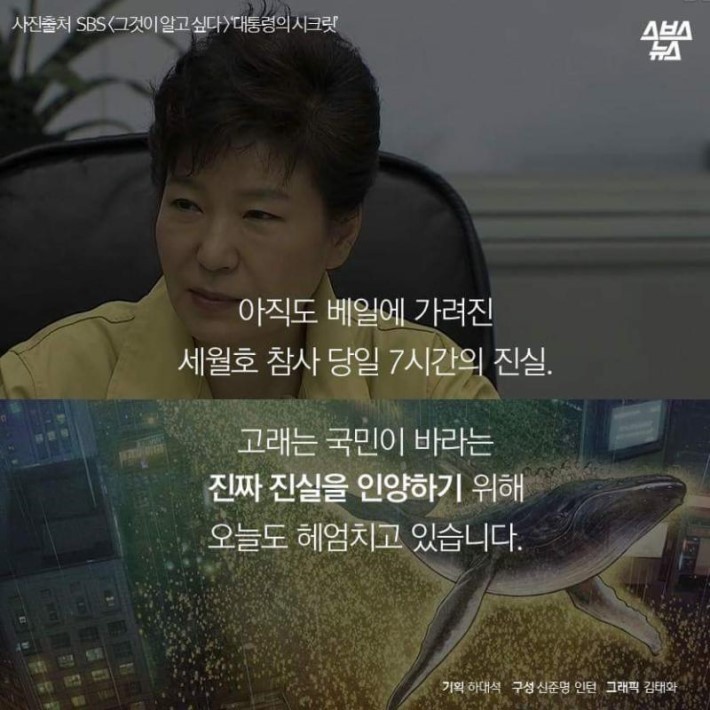 광화문에 날아오른 고래 한 마리... | 인스티즈