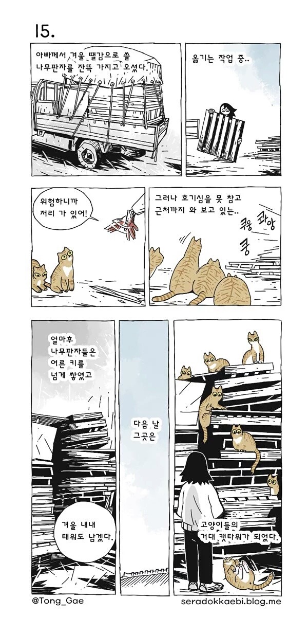 고양이 여덟마리와 사는만화 | 인스티즈