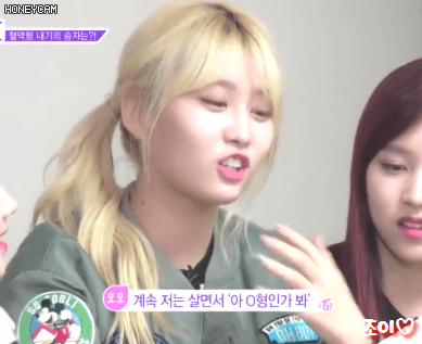 A형이라는게 믿기지 않는 모구리.gif | 인스티즈