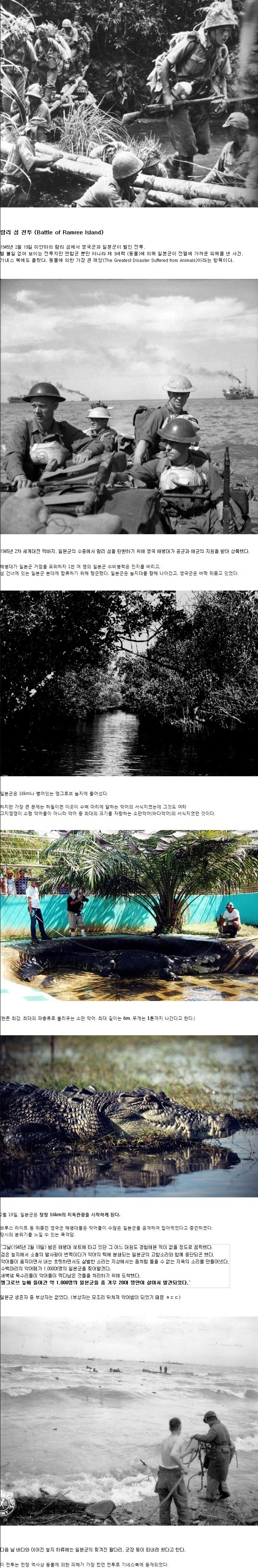 악어에게 전멸당한 일본군 | 인스티즈