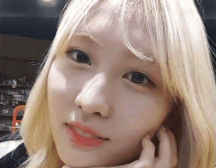 모모가 저 보고 있어서 찍은사진 | 인스티즈