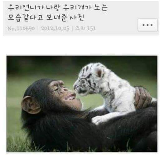 우리언니가 나랑 우리개가 노는 모습같다고 보내준 사진.jpg | 인스티즈