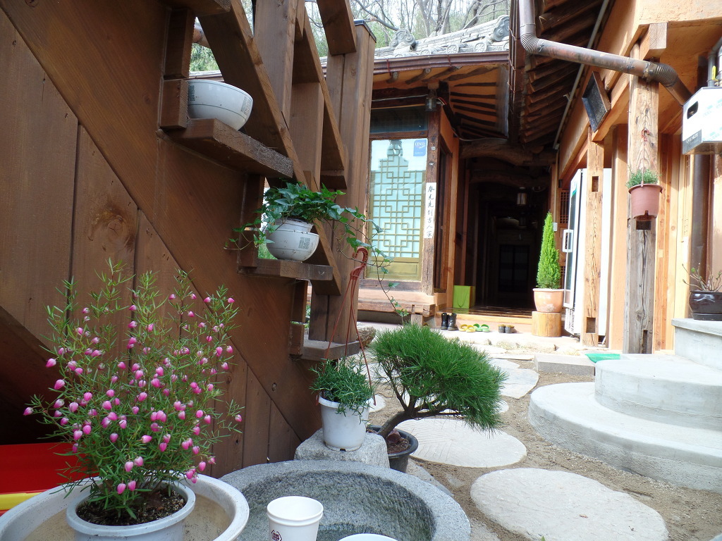 한옥마을의 화사한 봄꽃 감상 | 인스티즈