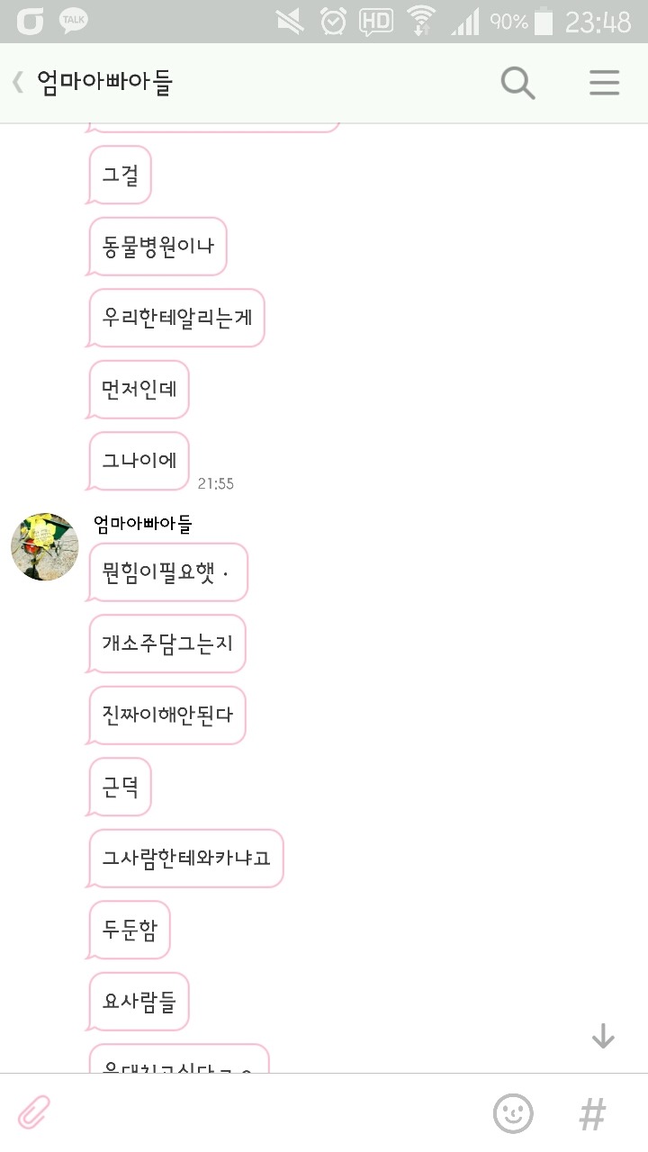 창녕 매실이 이야기를 아시나요?개소주가 되어서 돌아온 우리 매실이를 기억해주세요. 동물보호법강화를 위해 관심가져주세요 | 인스티즈