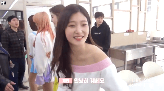 [다이아] 161014 모교방문 비하인드 움짤 gif | 인스티즈