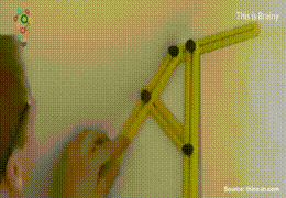 균형과 화합의 수호자 | 인스티즈