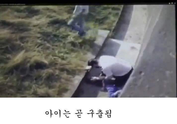 고릴라 우리에 떨어진 아이.. 고릴라의 반응은? | 인스티즈
