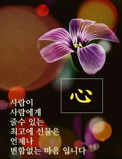 러운 이미지