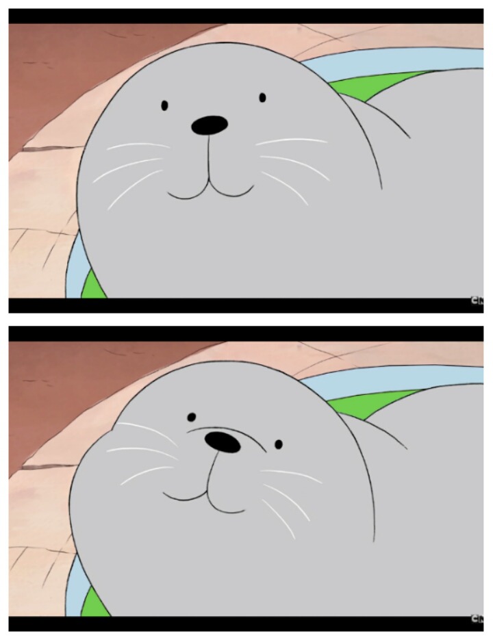 아이스베어 이미지