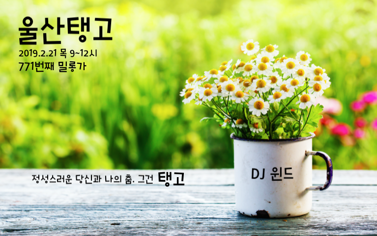 윈드21 이미지