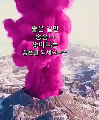 정승상사 이미지