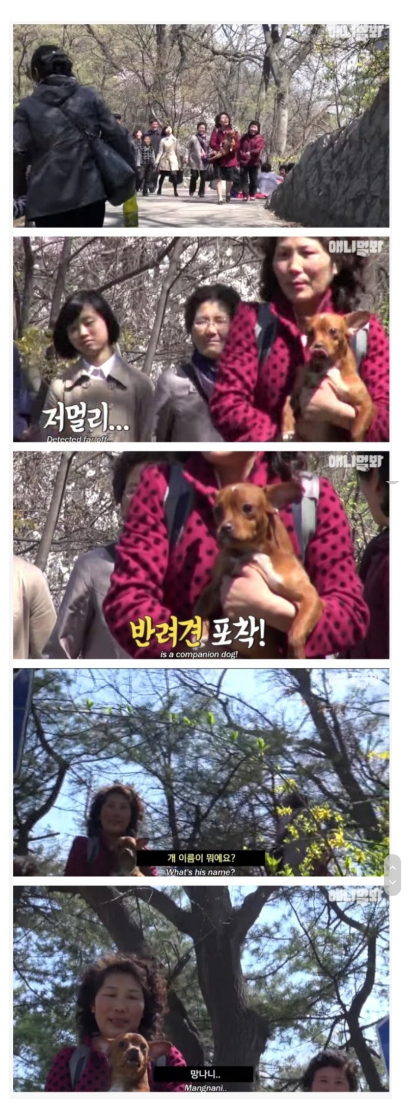 귀여운 댕댕이 북한식 작명법.jpg | 인스티즈