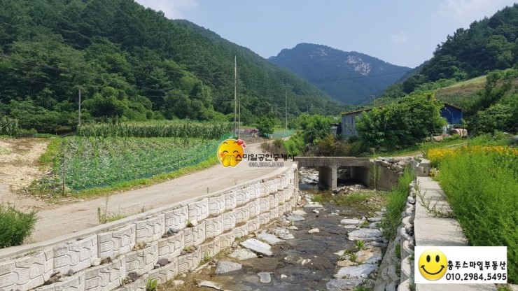 파란나무 이미지