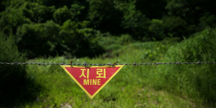 전세계에서 가장 보존이 잘 된 온대림 | 인스티즈