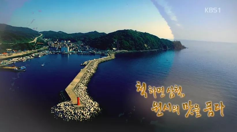 한국인의 밥상 - 삼척 | 인스티즈