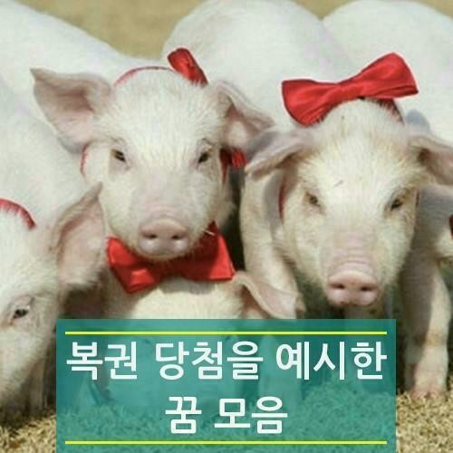 하늘복권 이미지