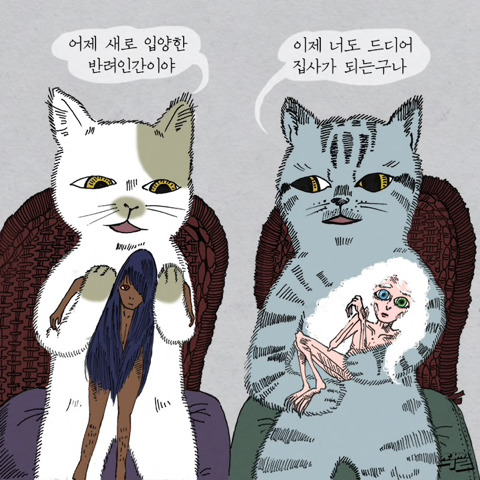 고양이가 애완 인간 키우는 만화 | 인스티즈