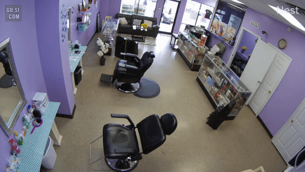 미용실에 돌격해 온 야생사슴 | 인스티즈