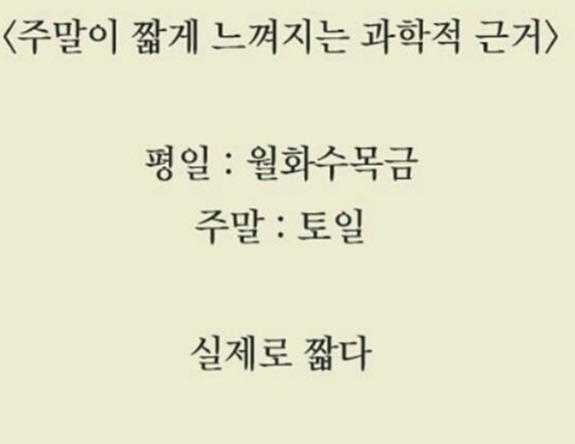 주말이 짧게 느껴지는 이유 | 인스티즈