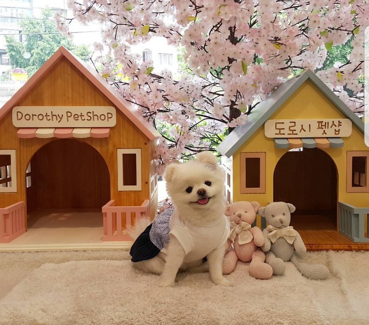는 복층 원룸인테리어 | 인스티즈