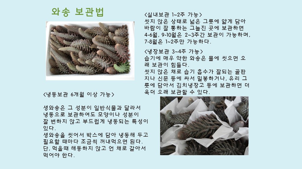 약초생활건강 이미지