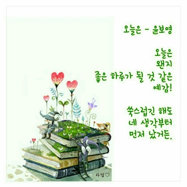 보아유 이미지