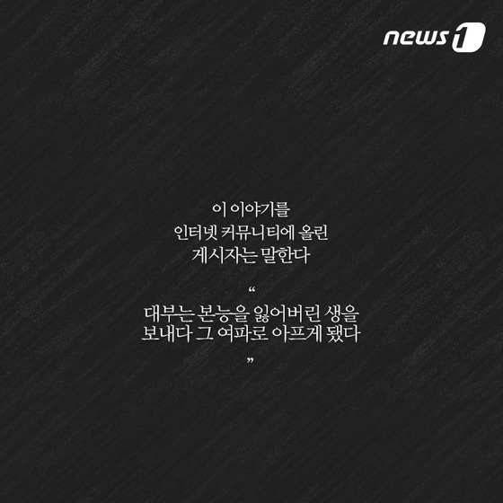 안내견은 스트레스 때문에 오래 못 산다? | 인스티즈