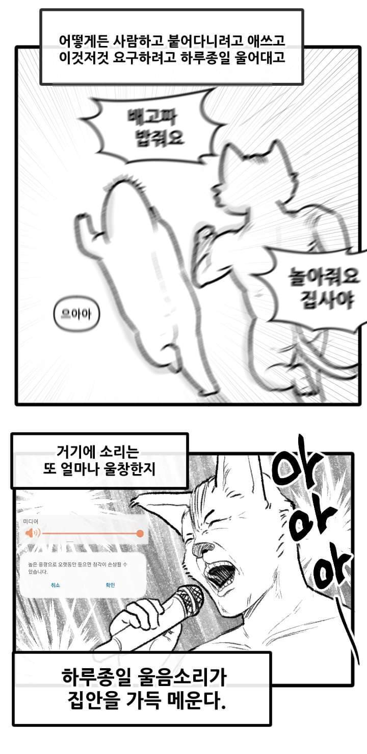 우리집 고양이 이야기.manhwa | 인스티즈