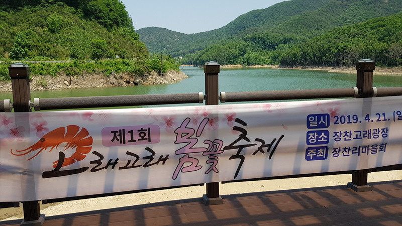 장찬리소나무갤러리 이미지