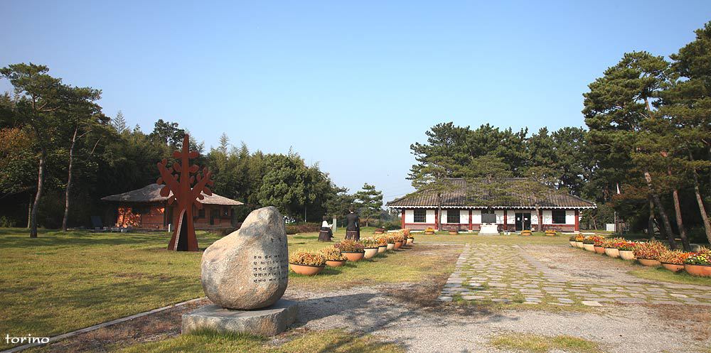 상록수 이미지