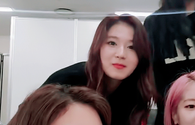 시바견인가 다람쥐인가....... 사나 | 인스티즈