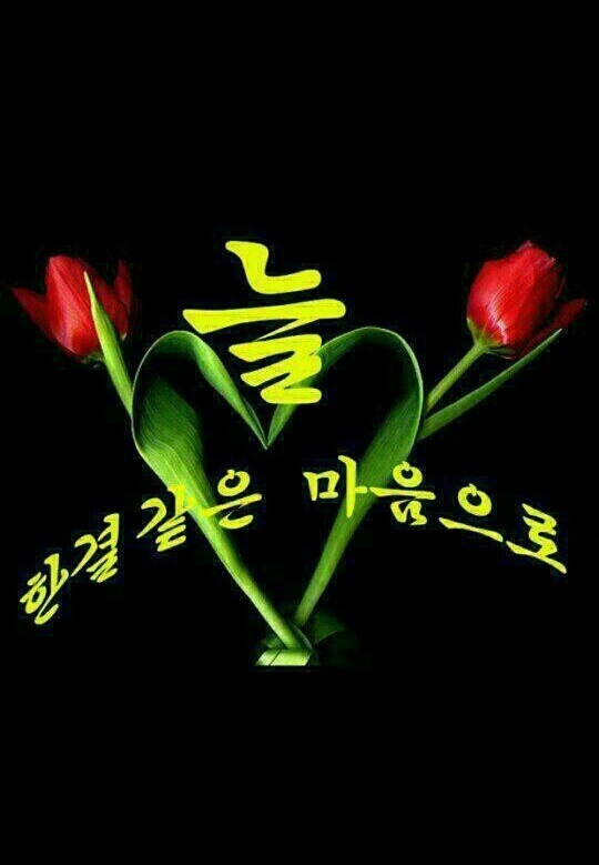 늘;한결같은 이미지
