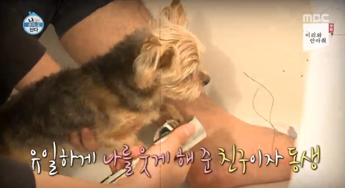 [나혼자산다] 전현무와 17살 반려견 또또 이야기.jpg | 인스티즈