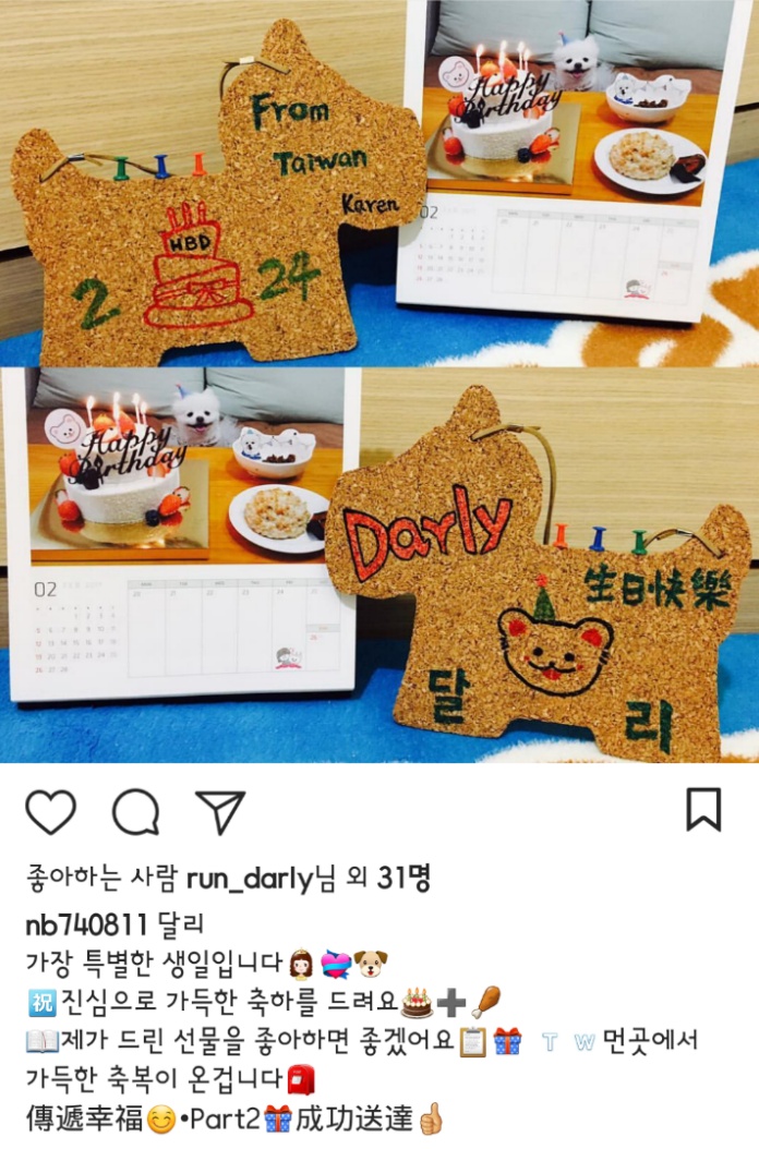 대만사람까지 꼬시고 다니는 한류 스타 강아지 달리 | 인스티즈