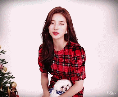 크리스마스 인사하는 수지 gif | 인스티즈