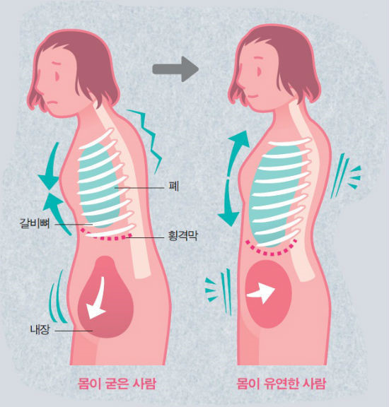 정댄스스포츠학원 이미지