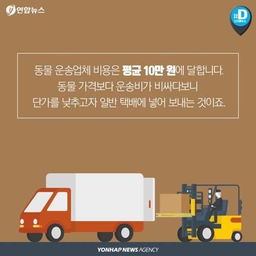 택배 상자 안에서 죽어가는 반려동물들 | 인스티즈