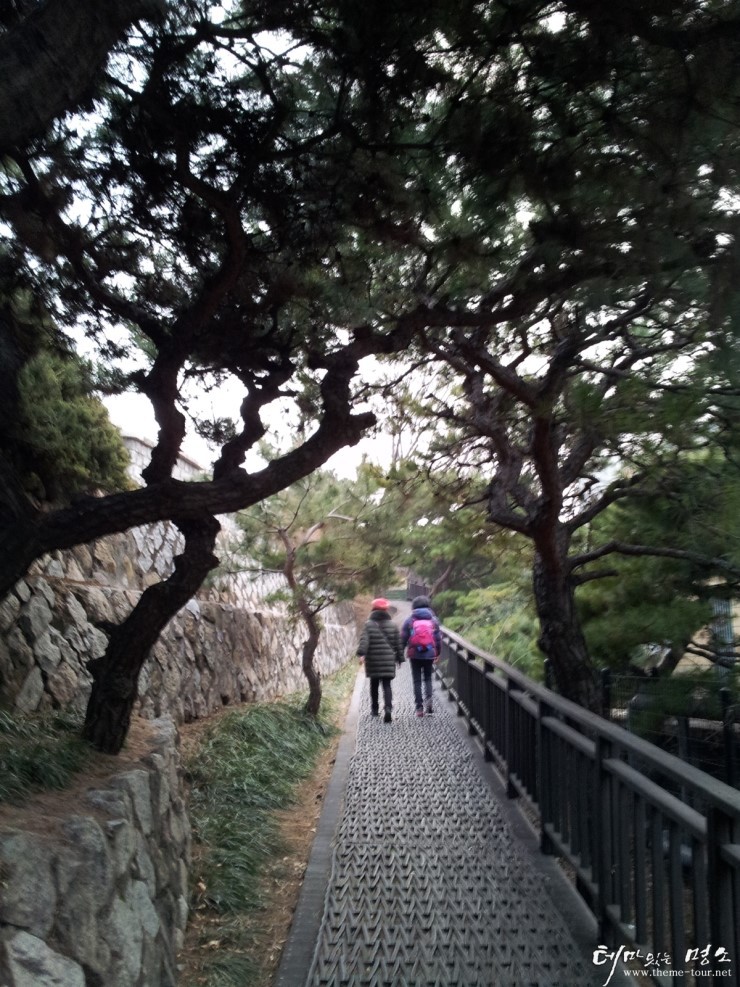 도성집 이미지