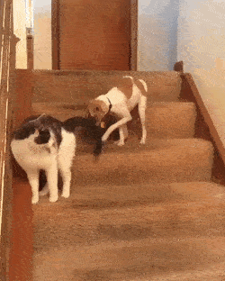 한대 쳤을뿐인데...gif | 인스티즈