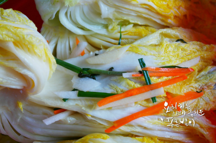 백김치 이미지