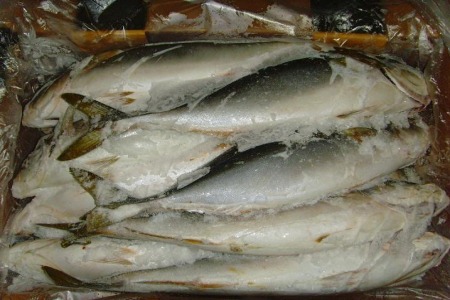 한국냉동 이미지