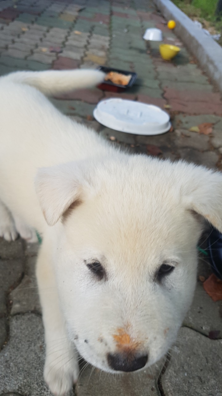 말벌이라도 먹은건가... | 인스티즈