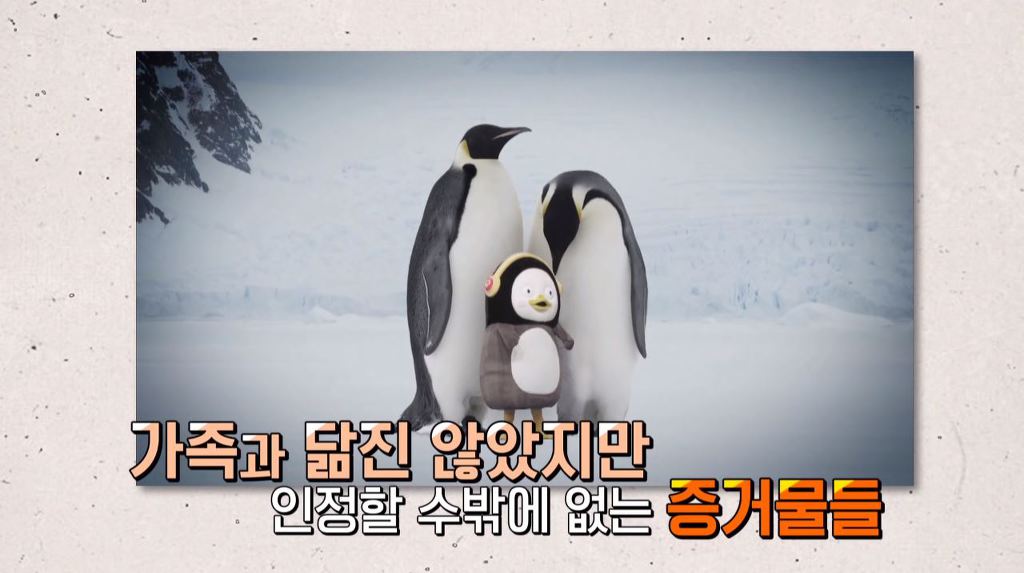 펭수 가족사진과 졸업사진.jpg | 인스티즈