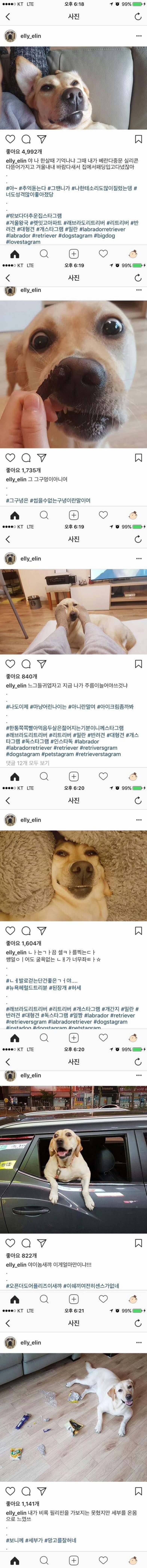 약빤 주인의 댕댕이 일기.jpg | 인스티즈